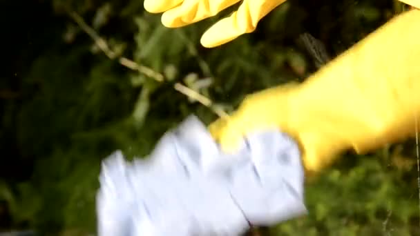 Reinigingsconept - met de hand reinigen van glas ruit met wasmiddel en veeg of vod — Stockvideo