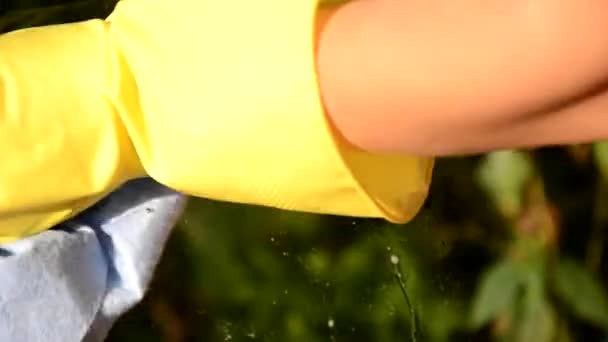 Cleaning conept - Fensterscheibe von Hand mit Spülmittel und Wischtuch oder Lappen reinigen — Stockvideo