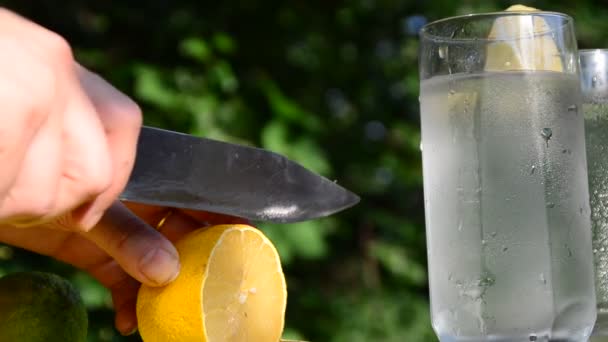 Limonade of mojito cocktail met citroen en munt, koud verfrissend drankje of drank met ijs. zomer drankje op een achtergrond van groen gebladerte meisje doen — Stockvideo