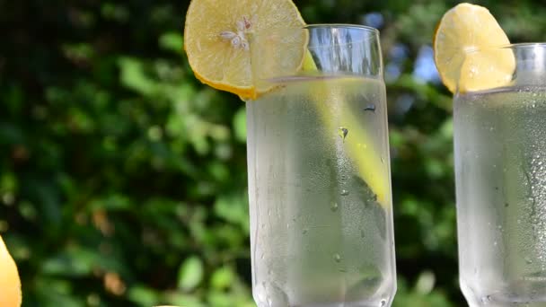 Lemonad eller mojito cocktail med citron och mynta, kall uppfriskande dryck eller dryck med is. sommar dryck på en bakgrund av grönt lövverk flicka gör — Stockvideo