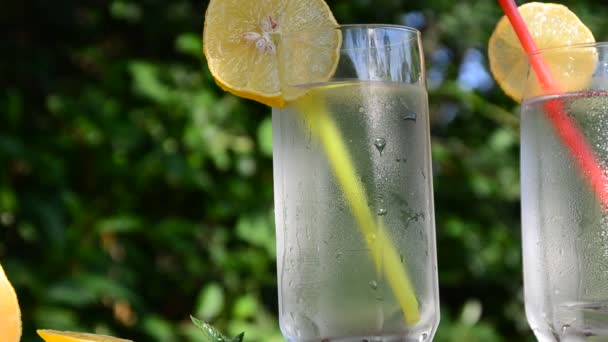 Lemoniada lub koktajl mojito z cytryną i miętą, zimny orzeźwiający napój lub napój z lodem. letni napój na tle zielonych liści dziewczyna robi — Wideo stockowe
