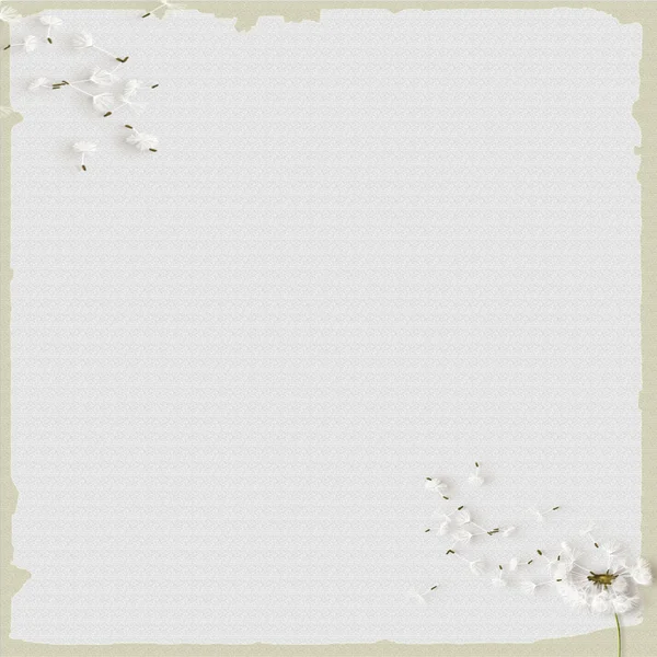 Carta flor fundo branco — Fotografia de Stock