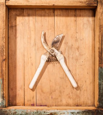 kahverengi yüzeyi Bahçe budayıcı