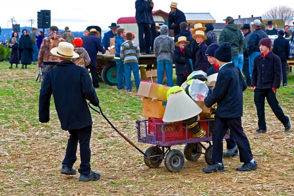 Amish Mud Vendita — Foto Stock