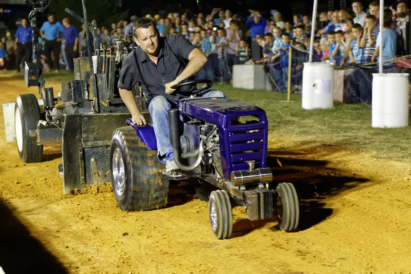 Férfi vezetési traktor húzza verseny: Stock Kép
