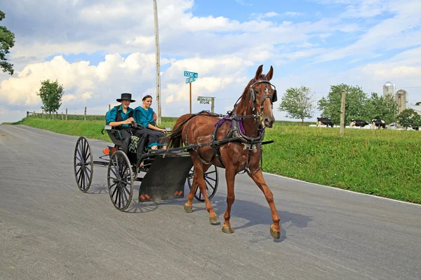 Amish lovaskocsizás — Stock Fotó