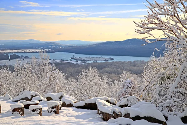 Neve coberto de árvores — Fotografia de Stock