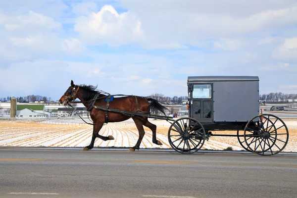 Amish carruagem no inverno — Fotografia de Stock