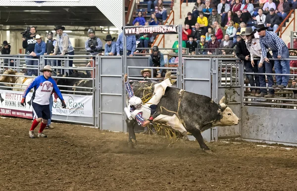 Joven jinete de toro — Foto de Stock