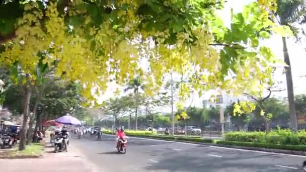 Місто Мін Єтнам Лютого 2019 Зайнятий Трафік Бульварі Квітковим Фоном — стокове відео
