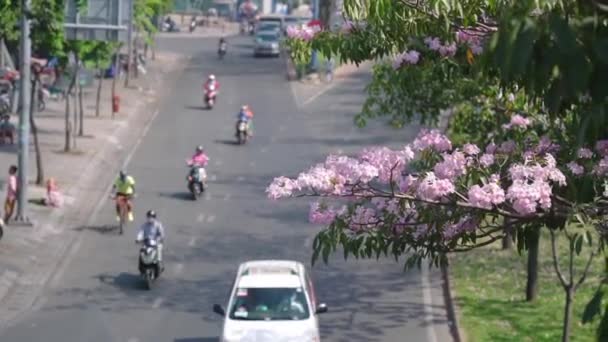 2019年2月8日 越南胡志明市 卡西亚瘘管花开的林荫大道繁忙的交通点缀着越南胡志明市成长中的城市景观 — 图库视频影像