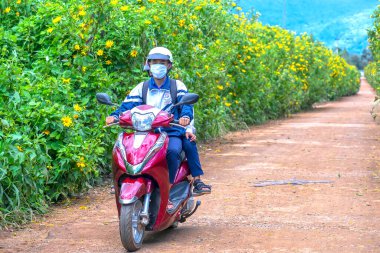 Da Lat, Vietnam - 9 Kasım 2020: Motosikletle yabani ayçiçeği yolundan geçen insanlar sarı renkte çiçek açıyor, Da Lat, Vietnam 'da güzel bir manzara.