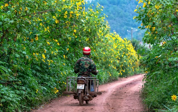 Lat Vietnã Novembro 2020 Pessoas Dirigindo Motos Através Estrada Flor — Fotografia de Stock