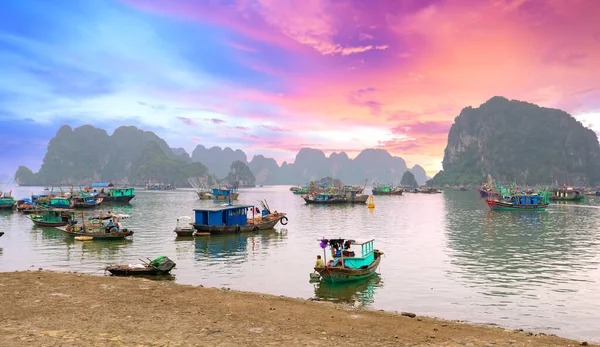 Bootsteiger Halong Bay Vietnam Met Veel Vissersboten Voor Anker Dit — Stockfoto