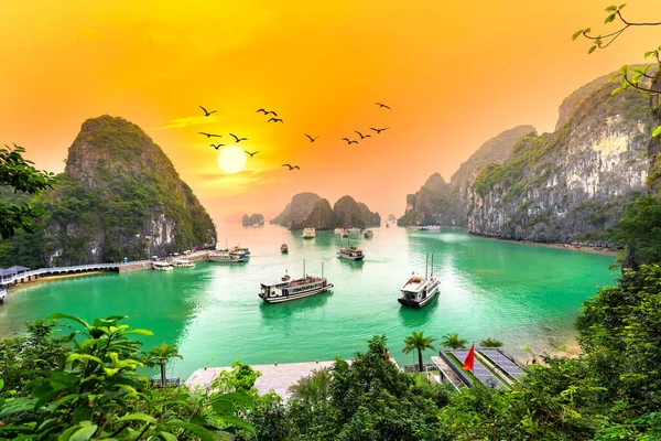 Halong Körfezi Nin Rüya Gibi Günbatımı Manzarası Çayırdan Vietnam Manzarası — Stok fotoğraf