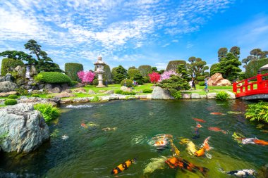 Ho Chi Minh Şehri, Vietnam - 3 Ocak 2021: Akvaryum koi, selvi, çam, su ve geleneksel Japon kültürünü Ho Chi Minh City, Vietnam 'da taşıyan antik ağaçlarla tasarlanmış ekoloji bahçesi
