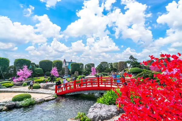 ベトナムホーチミン市 2021年1月3日 ベトナムのホーチミン市で観光客を魅了するブレンドを組み込んだ絵画としてのヒノキ 水と盆栽庭園の美しさ — ストック写真