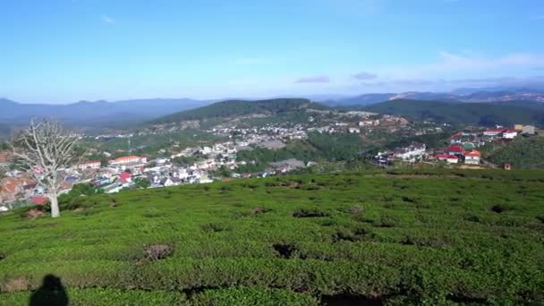 Eine Kleine Stadt Unter Einem Teehügeltal Morgen Hochland Von Dalat — Stockvideo