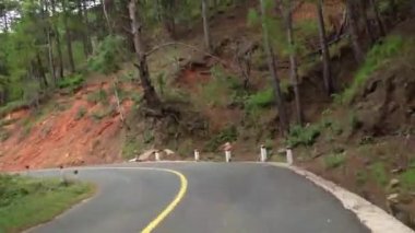 Virajlı çam ormanlarındaki yol Da Lat, Vietnam yakınlarındaki bir dağın tepesine çıkar.