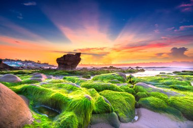 Garip taşlar yosunları ve yosunları örtüyor. Şafak söküyor. Güzel bir gün.