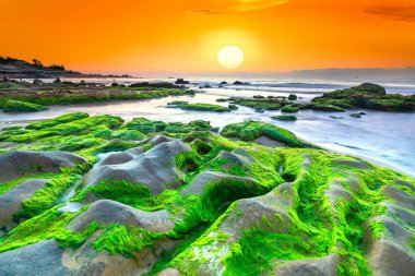 Garip taşlar yosunları ve yosunları örtüyor. Şafak söküyor. Güzel bir gün.