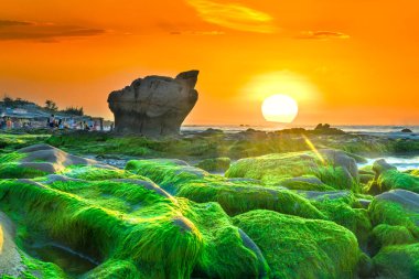 Garip taşlar yosunları ve yosunları örtüyor. Şafak söküyor. Güzel bir gün.