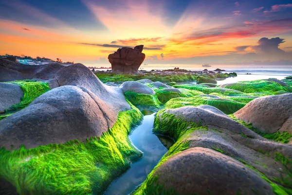 Strange Stones Covered Moss Seaweed Welcomes Dawn Beautiful New Day — Stock Photo, Image