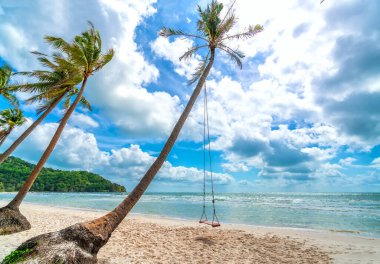 Vietnam 'ın Phu Quoc adasındaki cennet gibi Sao sahilindeki bir palmiye ağacına bağlı salıncak. Sao plajı Vietnam 'ın en iyi plajlarından biridir..