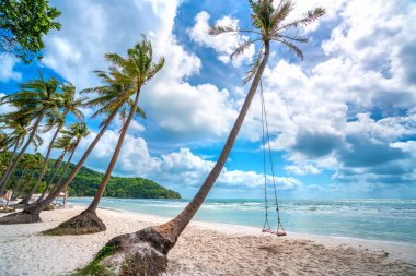 Vietnam 'ın Phu Quoc adasındaki cennet gibi Sao sahilindeki bir palmiye ağacına bağlı salıncak. Sao plajı Vietnam 'ın en iyi plajlarından biridir..