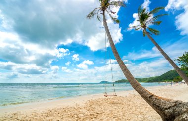 Vietnam 'ın Phu Quoc adasındaki cennet gibi Sao sahilindeki bir palmiye ağacına bağlı salıncak. Sao plajı Vietnam 'ın en iyi plajlarından biridir..