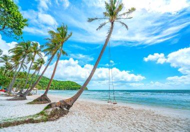 Vietnam 'ın Phu Quoc adasındaki cennet gibi Sao sahilindeki bir palmiye ağacına bağlı salıncak. Sao plajı Vietnam 'ın en iyi plajlarından biridir..