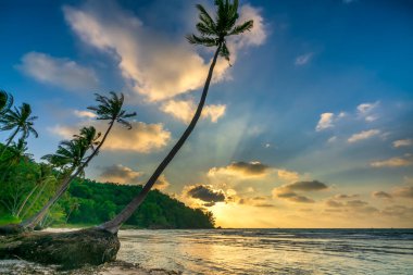 Terkedilmiş bir sahilde şafak vakti denize bakan güzel hindistan cevizi ağaçları ve güzel dramatik bir gökyüzü zümrüt Phu Quoc adası, Vietnam