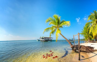 Vietnam 'ın Phu Quoc adasındaki güzel kumlu sahilde tropikal palmiyeleri olan deniz burnu. Burası Vietnam 'ın en iyi plajlarından biri..