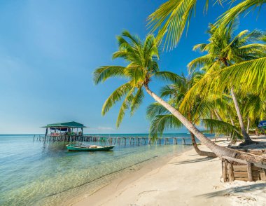 Vietnam 'ın Phu Quoc adasındaki güzel kumlu sahilde tropikal palmiyeleri olan deniz burnu. Burası Vietnam 'ın en iyi plajlarından biri..