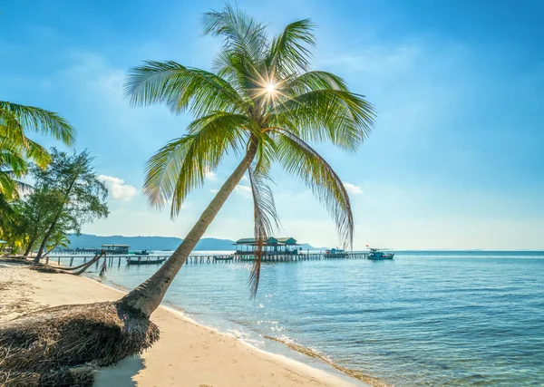 在越南的Phu Quoc岛上 阳光的海景 热带棕榈在美丽的沙滩上 这是越南最好的海滩之一 — 图库照片