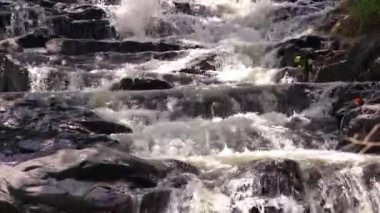 Yağmur ormanlarında akan yumuşak suyla uçurumdan akan yün gibi huzur veren bir manzara yaratır ruhu ve müziği dinlendirmek için