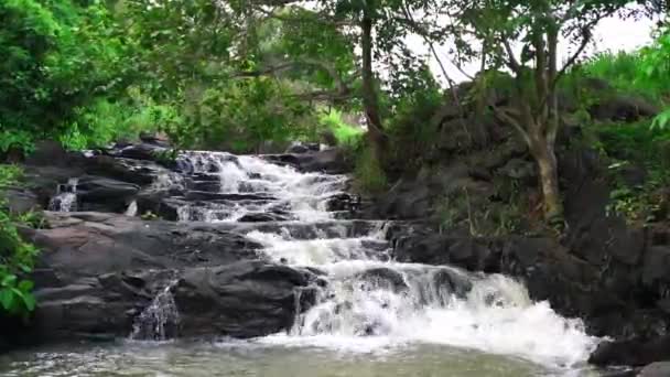 Strumień Lesie Deszczowym Miękką Płynącą Wodą Jak Wełna Przepływająca Przez — Wideo stockowe