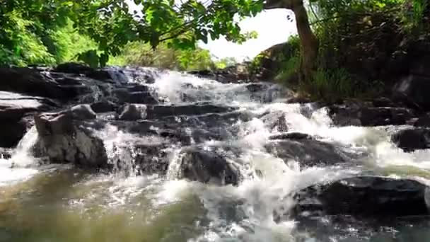 Поток Тропических Лесах Мягкой Текучей Водой Шерсть Протекающей Через Скалу — стоковое видео