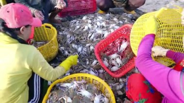 Phan Thiet, Vietnam - 12 Temmuz 2020: Deniz ürünleri pazarı oturumu denizleri, insanlar yengeçlerin, salyangozların ve balıkların içinde toplanıyor, kürek çeken balıkçı balıkları Phan Thiet, Vietnam 'daki balıkçı köyüne getirildi.