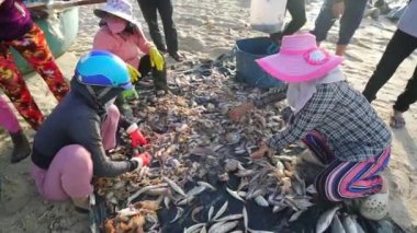 Phan Thiet, Vietnam - 12 Temmuz 2020: Deniz ürünleri pazarı oturumu denizleri, insanlar yengeçlerin, salyangozların ve balıkların içinde toplanıyor, kürek çeken balıkçı balıkları Phan Thiet, Vietnam 'daki balıkçı köyüne getirildi.