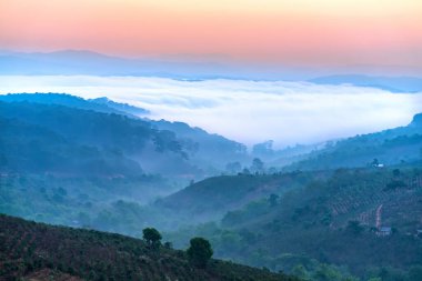 Güzel vadinin altındaki sisli dağlık arazide sabah manzarası.