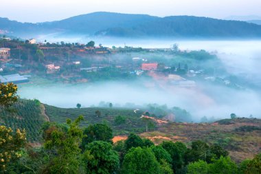 Güzel vadinin altındaki sisli dağlık arazide sabah manzarası.