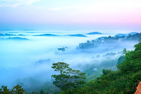 Morning Scenery Hillside Misty Highlands Beautiful Valley — Stock Photo, Image