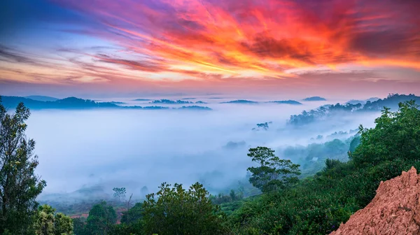 Dawn Plateau Morning Covered Fog Landscape Beautiful Idyllic Countryside Lat — Stock Photo, Image