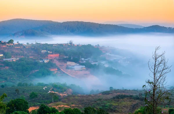 下の霧に覆われた朝の高原で夜明け 風景のように美しい牧歌的な田舎ダラット高原 ベトナム — ストック写真