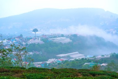 Vietnam 'daki Da Lat dağlarında sisle kaplı bir çay tepesi vadisinin altında küçük bir kasaba. Burası tüm ülkeye büyük miktarda çay sağlıyor.