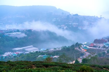 Vietnam 'daki Da Lat dağlarında sisle kaplı bir çay tepesi vadisinin altında küçük bir kasaba. Burası tüm ülkeye büyük miktarda çay sağlıyor.