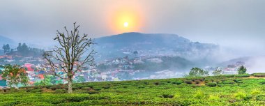 Vietnam 'ın Da Lat şehrinde, güneş doğarken gökyüzünde, bir çay tepesi vadisinde küçük bir köy. Burası tüm ülkeye büyük miktarda çay sağlıyor.