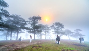 Da Lat, Vietnam - 1 Nisan 2021: Vietnam 'ın dağlık kesimlerindeki sisli bir sabah çam tepesinde şafağı izleyen turistler