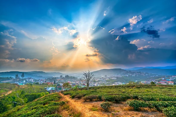 Mała Wioska Dolinie Wzgórza Herbacianego Zachodzie Słońca Niebo Lat Wietnam — Zdjęcie stockowe